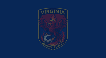 PROFESSIONAL COACHING